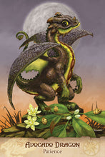 Load image into Gallery viewer, Field Guide to Garden Dragons