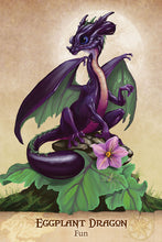 Load image into Gallery viewer, Field Guide to Garden Dragons